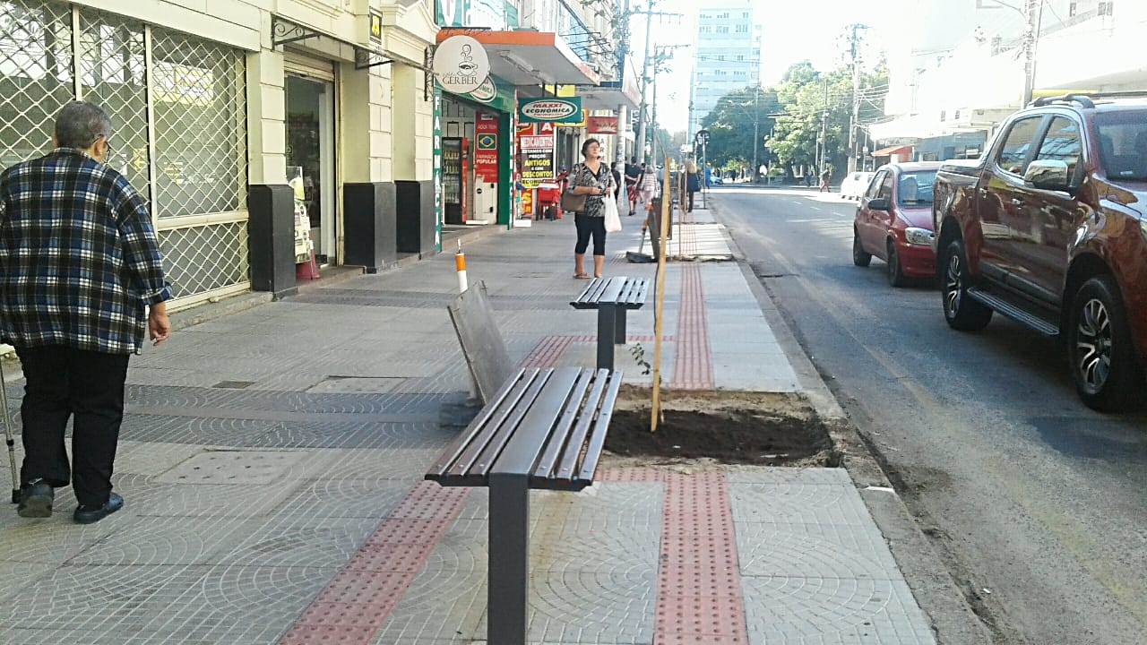 Arborização, bancos e lixeiras formam conjuntos para conforto da população