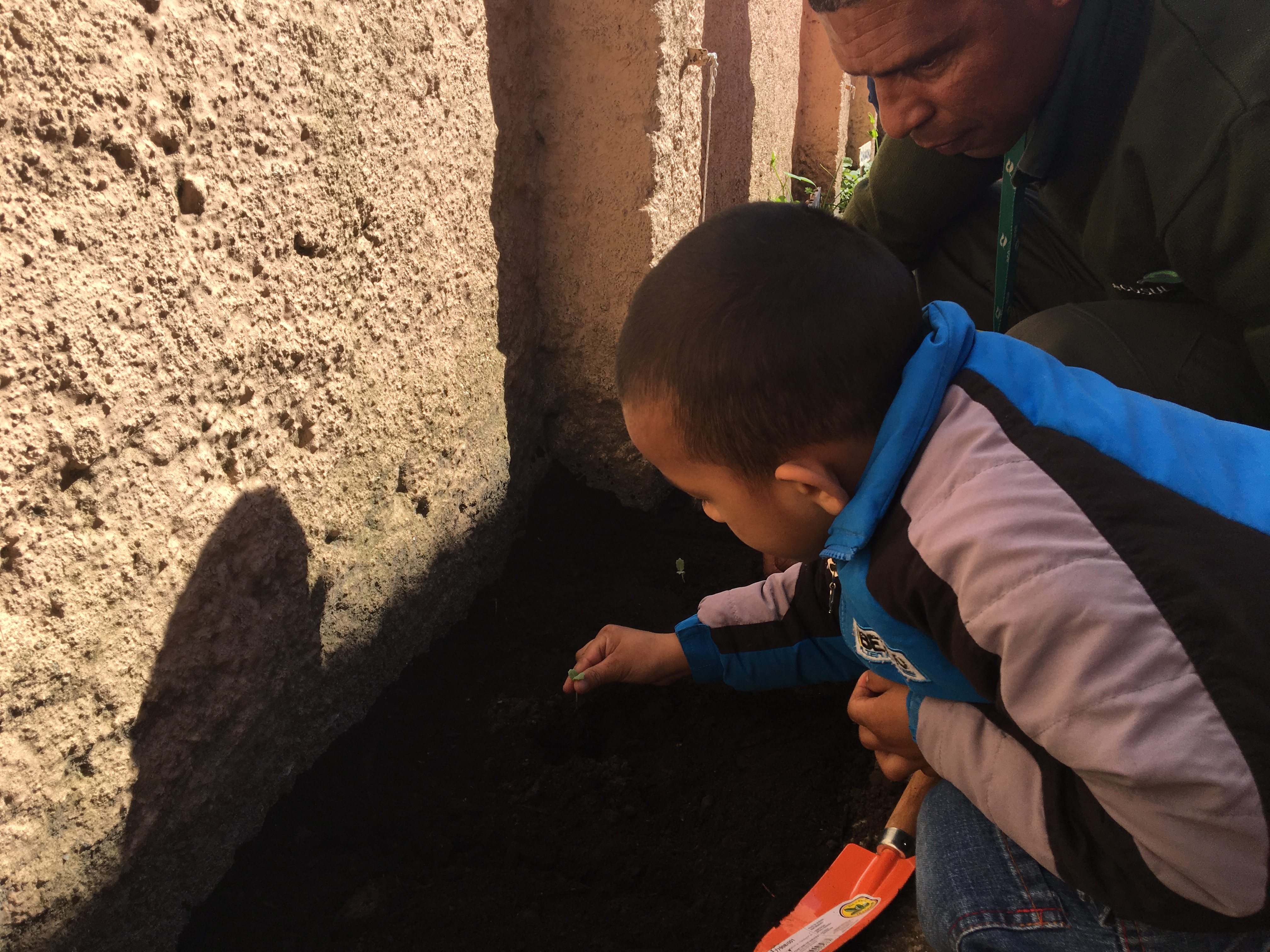 Atividade alusiva ao Dia da Árvore foi promovida pela Ecosul no Centro de Assistência Social da Prefeitura