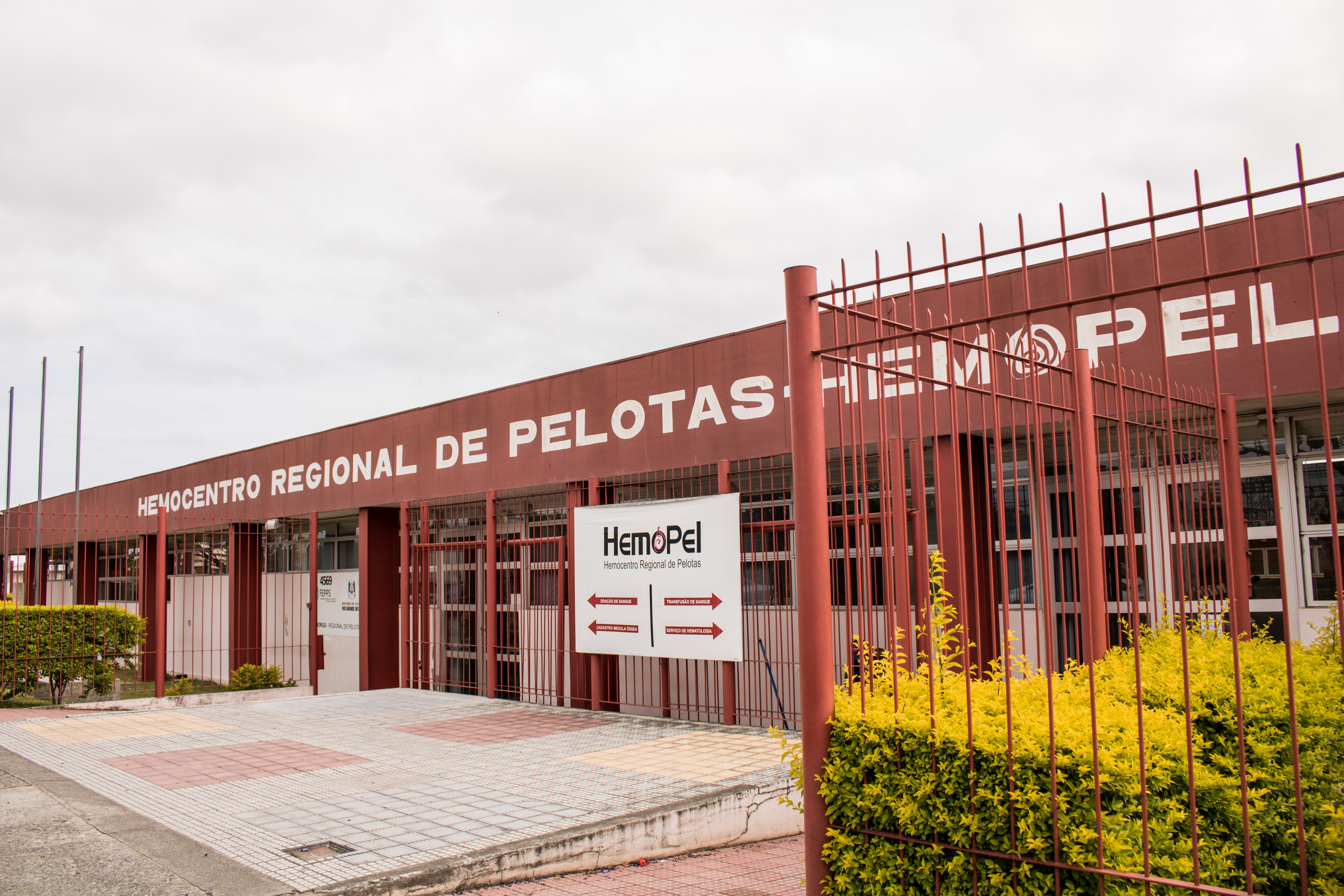 Doadores podem comparecer de segunda a sexta, das 8h às 18h. Hemopel fica na avenida Bento Gonçalves, 4.569