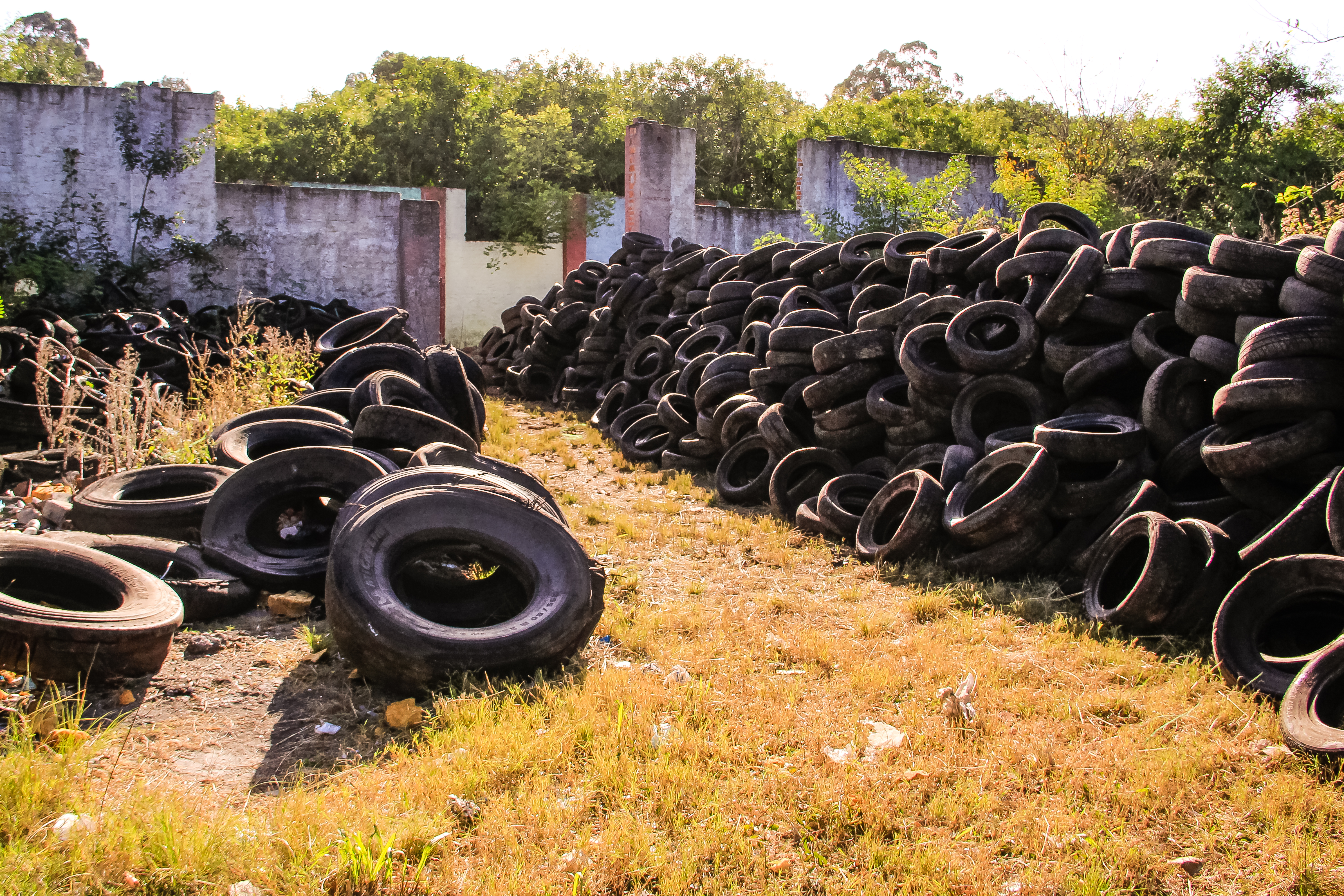 Equipes do projeto Mão de Obra Prisional e da empresa ReciclaMais retiram resíduos acumulados no antigo Ecoponto de Pneus