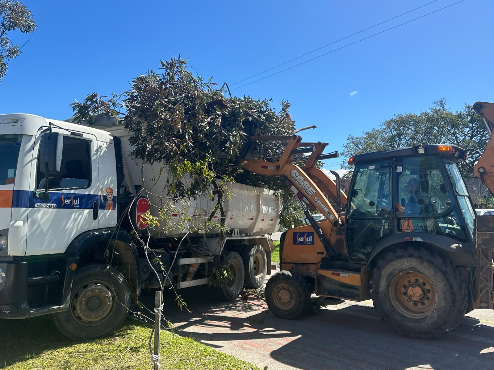 Secretaria de Serviços Urbanos e Infraestrutura (Ssui) concentra esforços nesta terça-feira (22) nas localidades mais atingidas pela tempestade