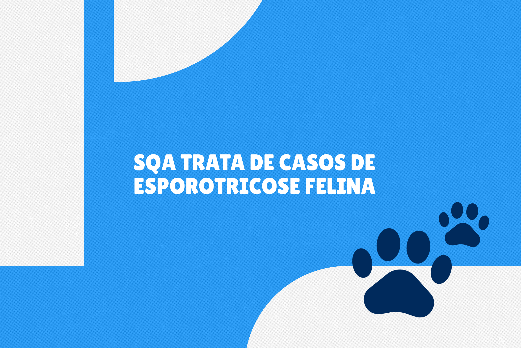 Tratamento inclui fornecimento gratuito de medicamentos para tutores de baixa renda e para protetores cadastrados