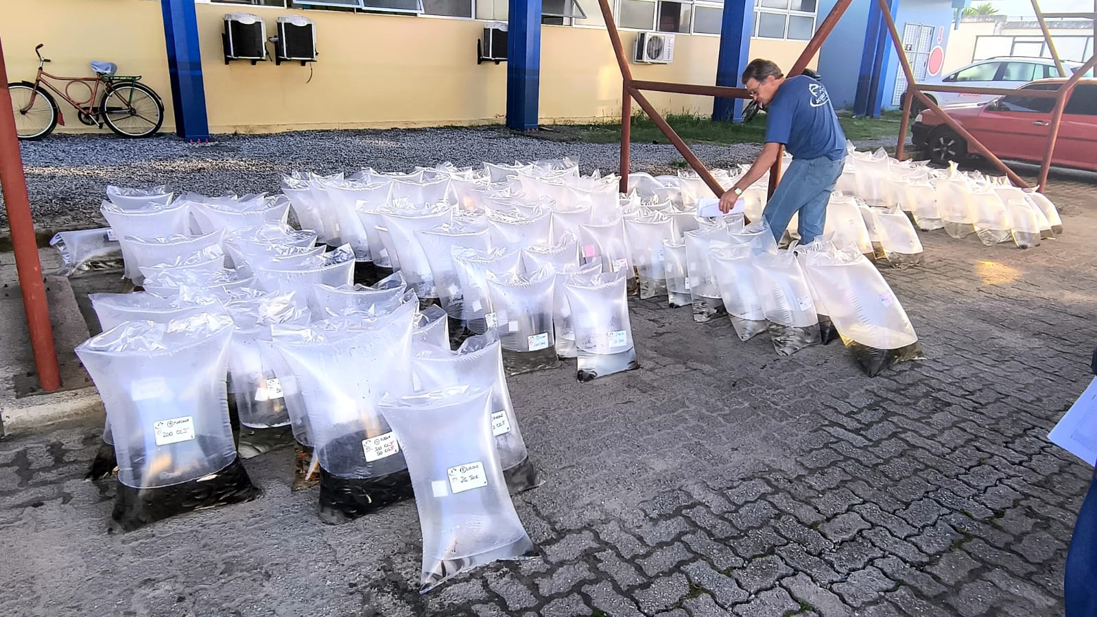 Repasse é 50% maior do que no mesmo período do ano passado, beneficiando 105 produtores