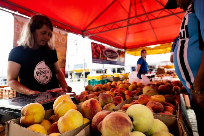 Consumidores ainda poderão adquirir as frutas diretamente dos produtores por mais uns dias