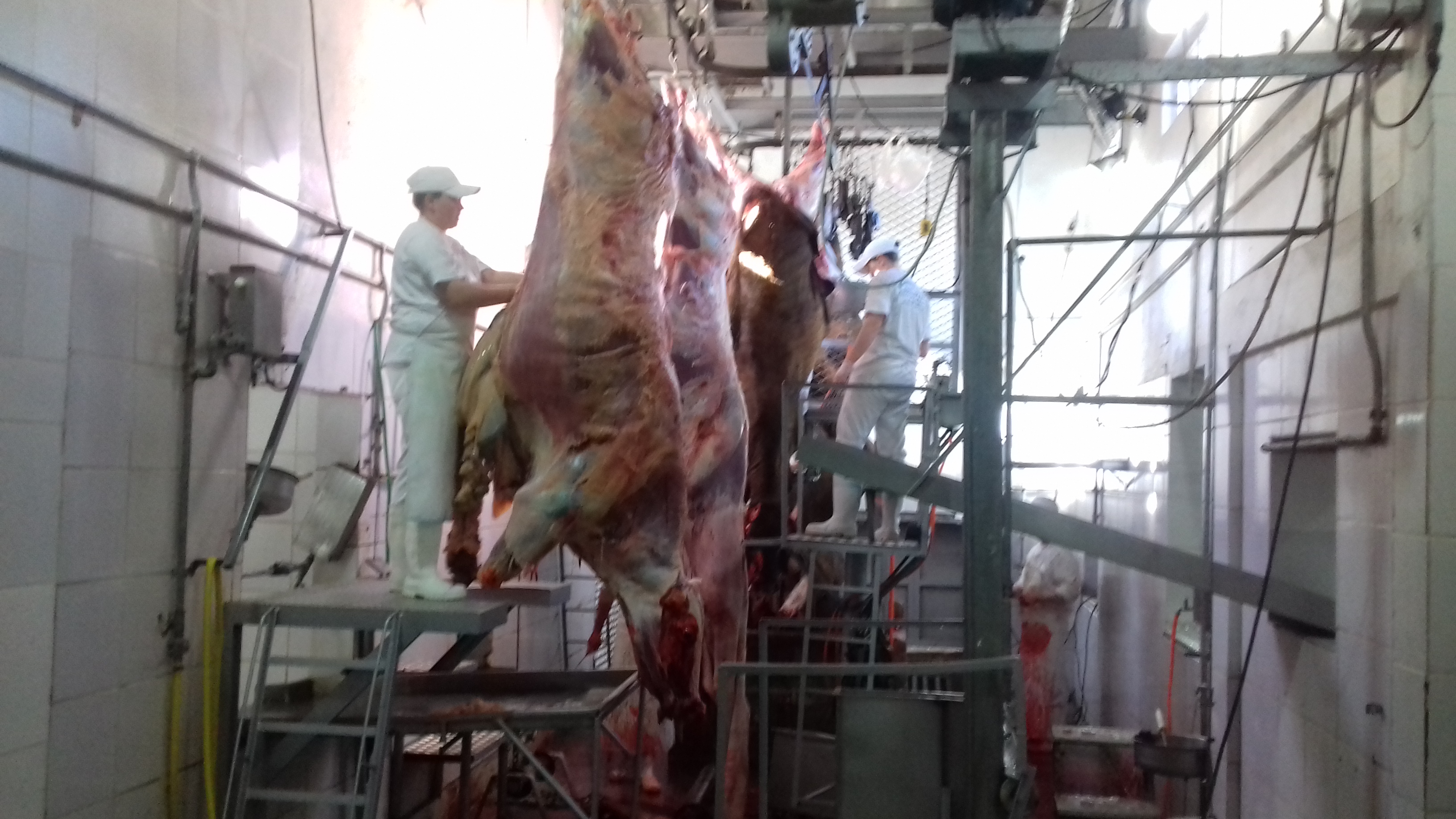 Em oito abatedouros registrados, a produção foi de mais de 325 toneladas de carnes e vísceras