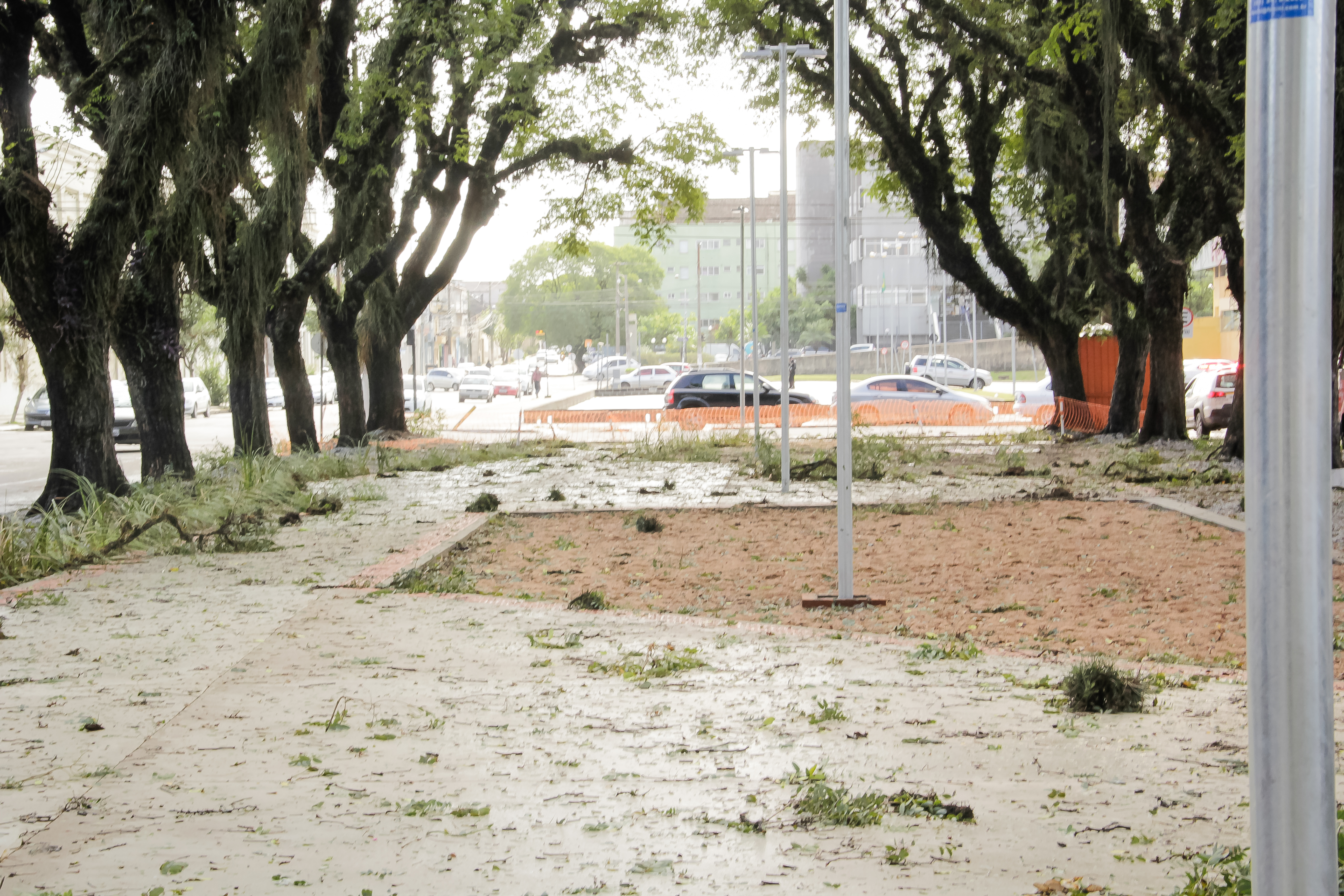 Vendaval e chuva deixam saldo de falta de energia e árvores caídas. Não há registro de desabrigados ou desalojados na cidade