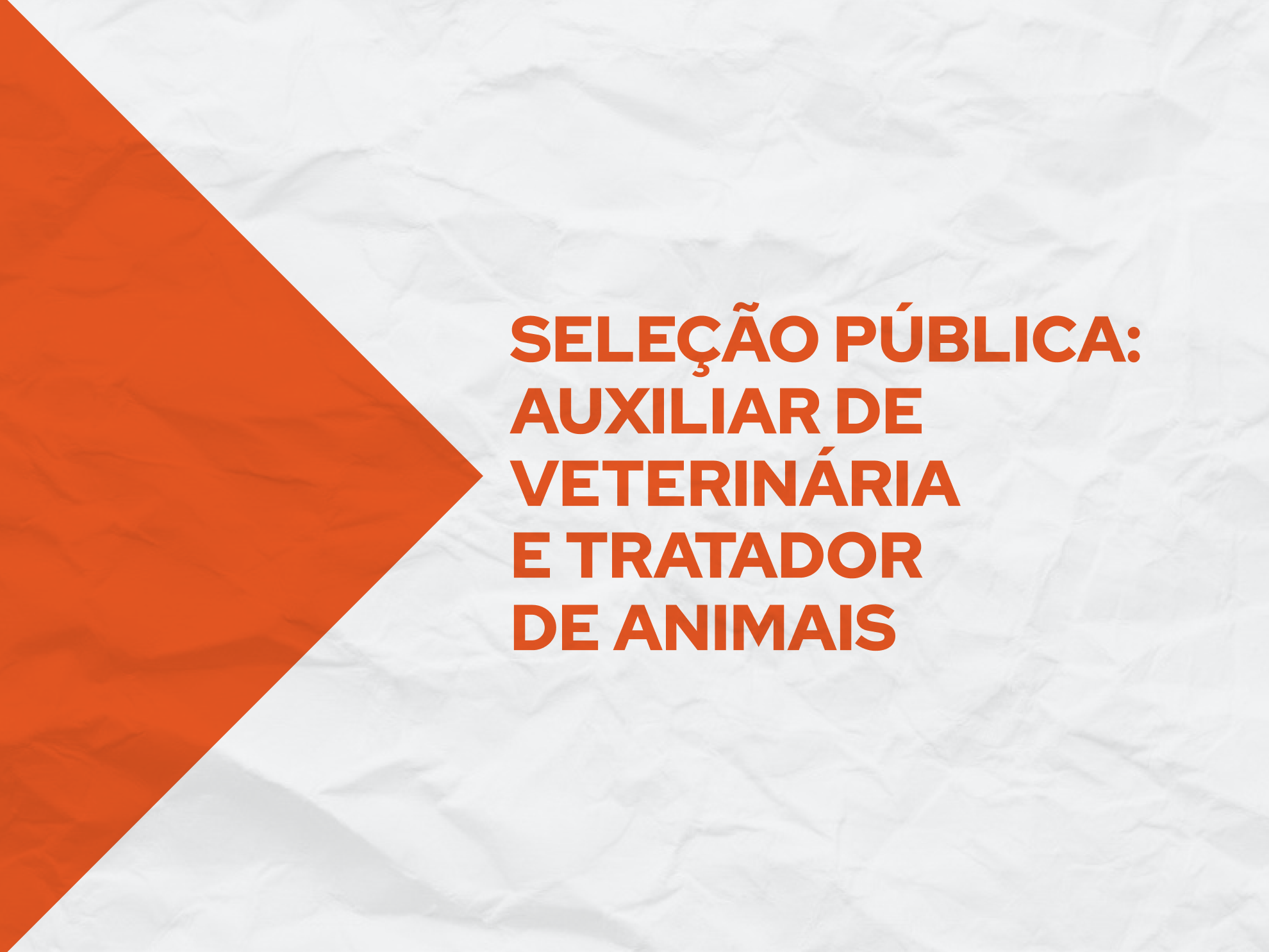 Processo visa contratar 14 profissionais para atuação na Secretaria de Qualidade Ambiental (SQA)