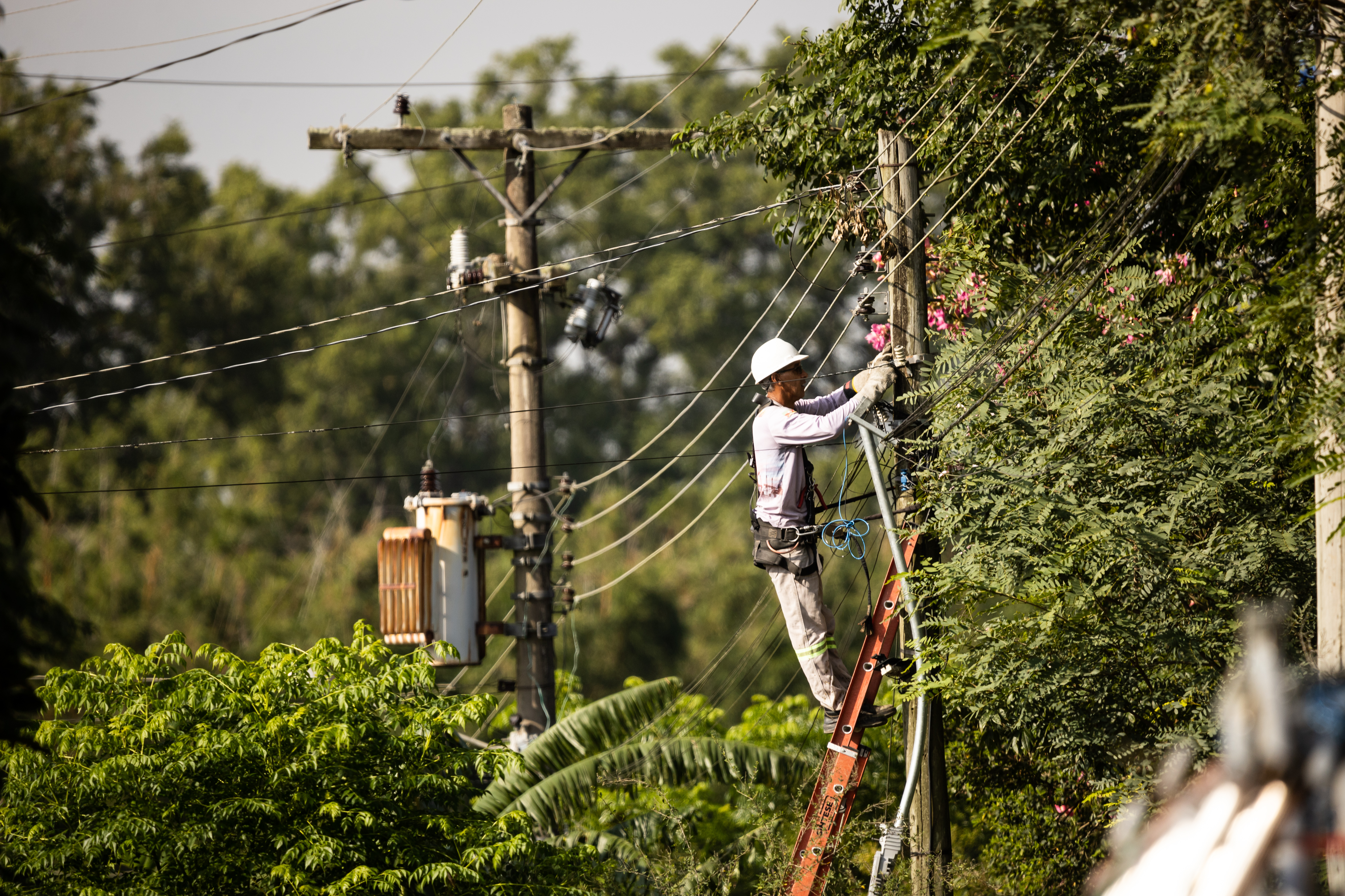 Ao todo, 2,8 mil pontos serão trocados na zona rural de Pelotas