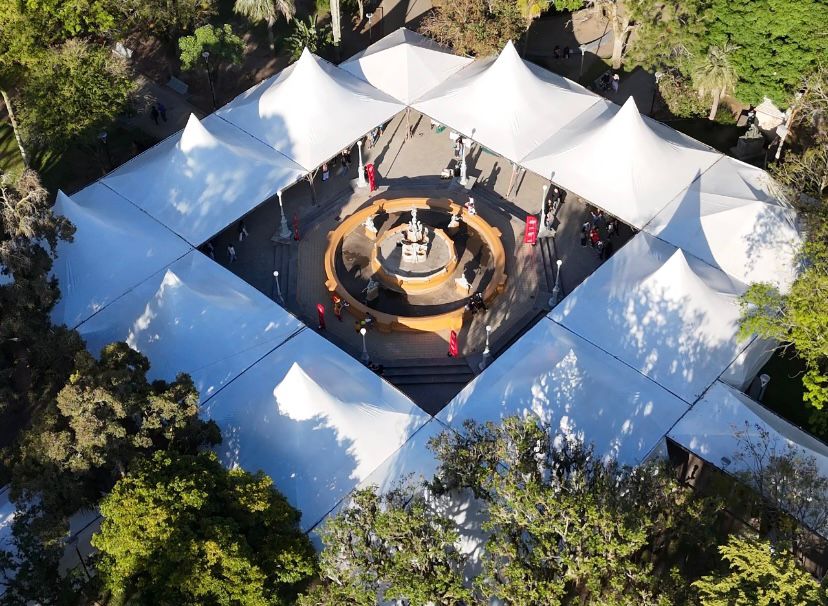 Saúde reserva seu lugar no universo da cultura