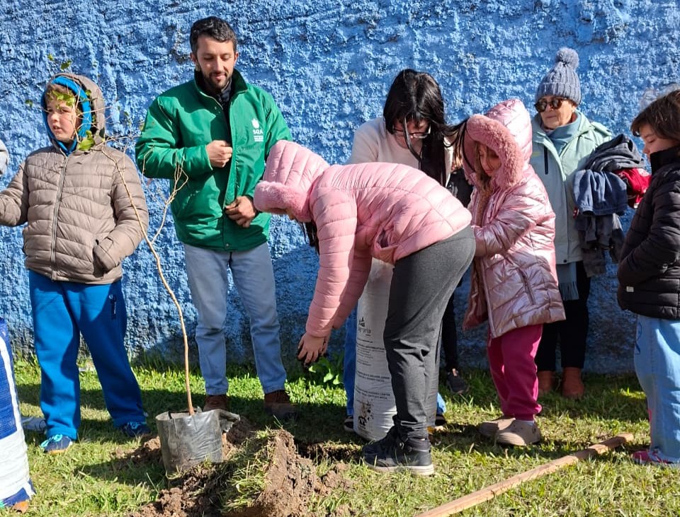 EMEF Almirante Raphael Brusque e a Secretaria de Qualidade Ambiental realizaram o plantio de árvores em todo o redor da localidade