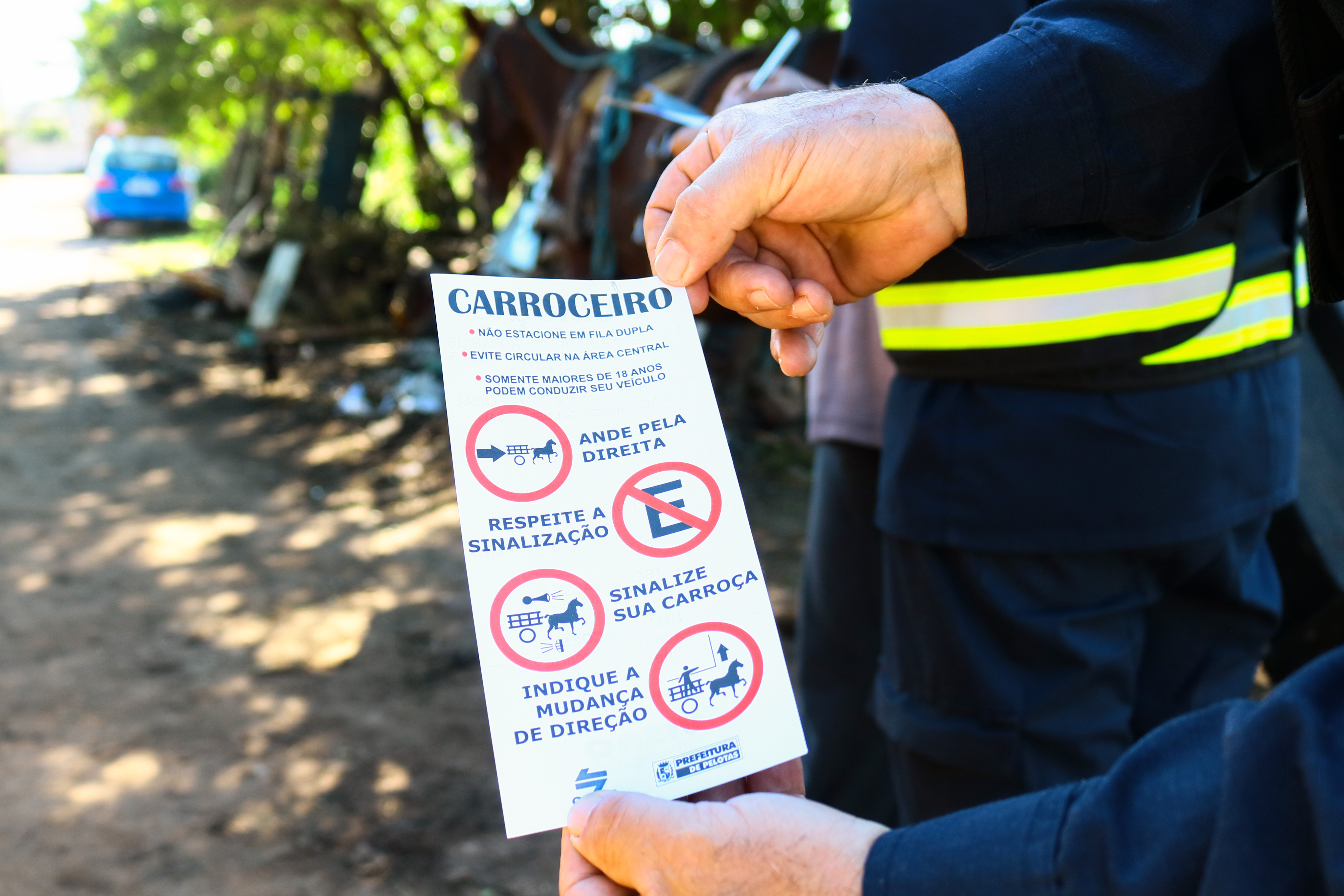 Ação abordou oito condutores de charretes e avaliou a saúde de 12 animais