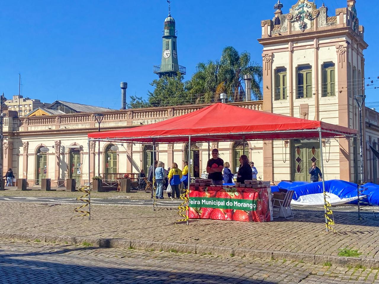 Prefeitura informa que produtores necessitam prazo para preparo da colheita para a Festa Municipal do Morango, nos dias 8 e 9 de novembro, no Parque de Eventos Morada do Sol