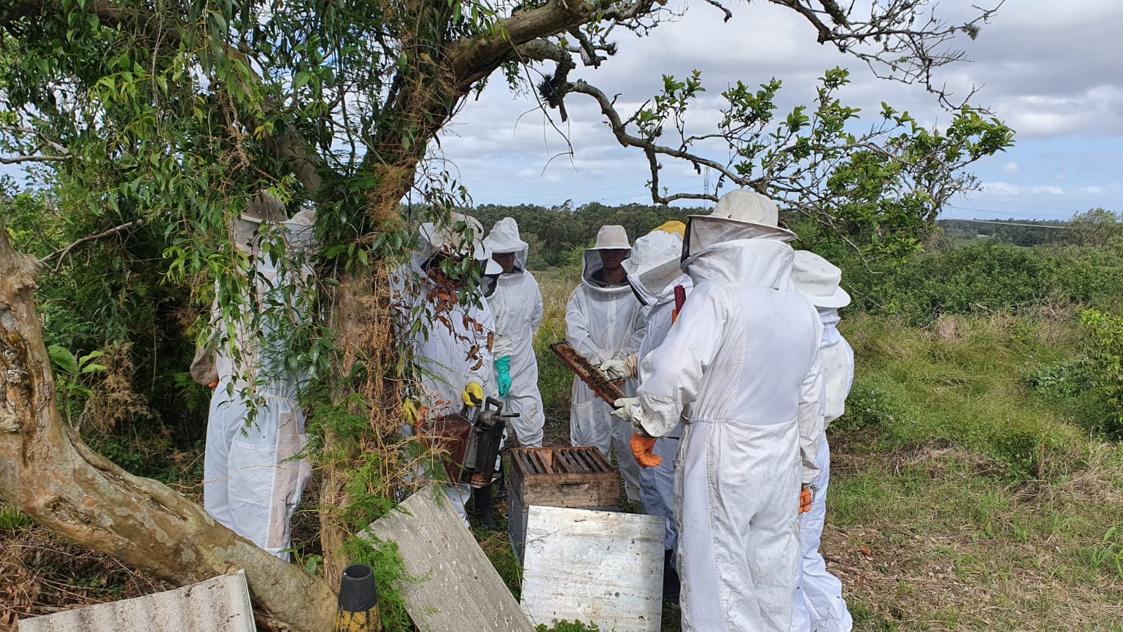 Encontro foi no Parque da Barragem, seguido de prática em apiário na zona rural