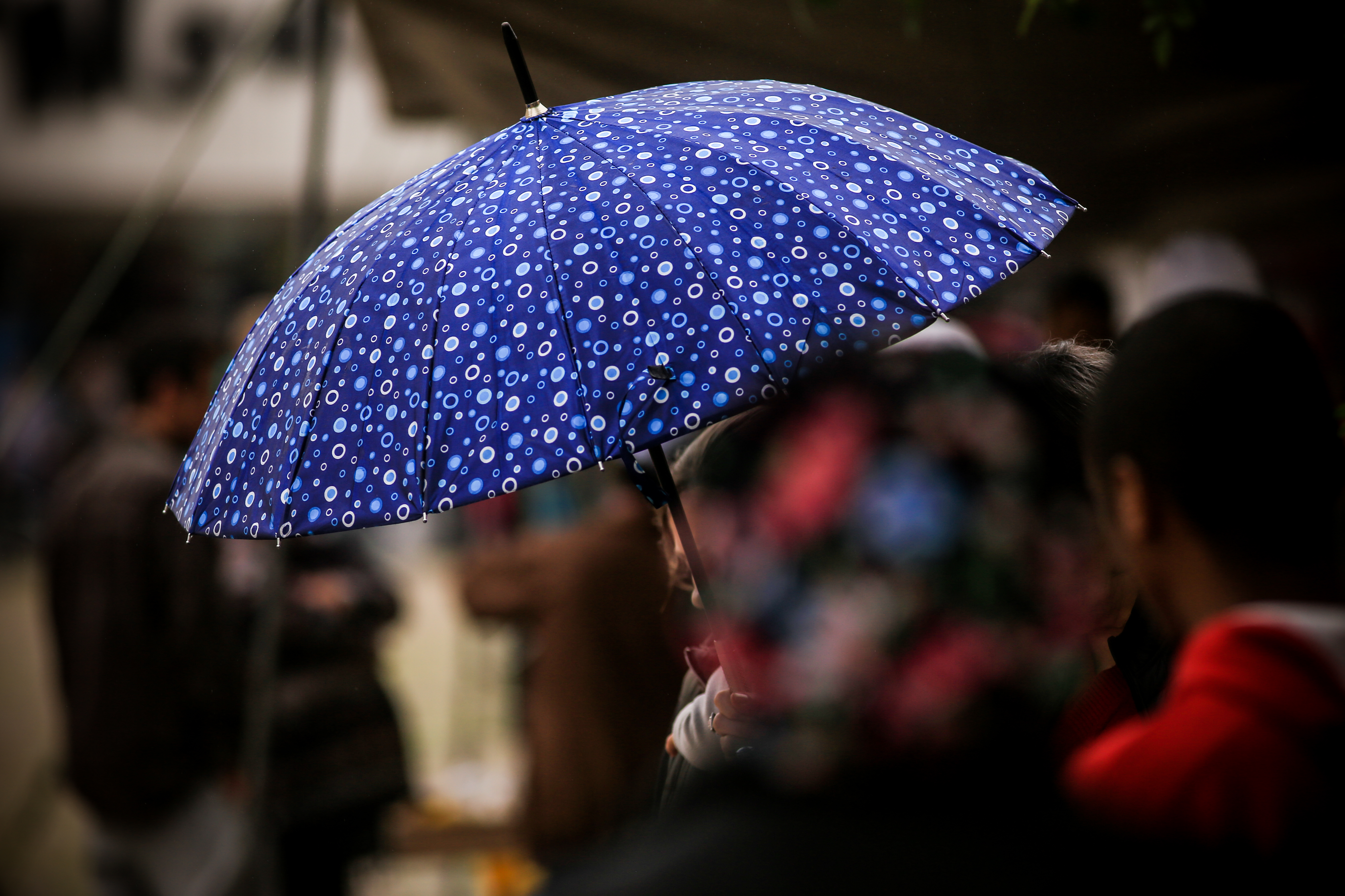Motivo é a previsão de tempo instável. Desfile aconteceria neste domingo (30)