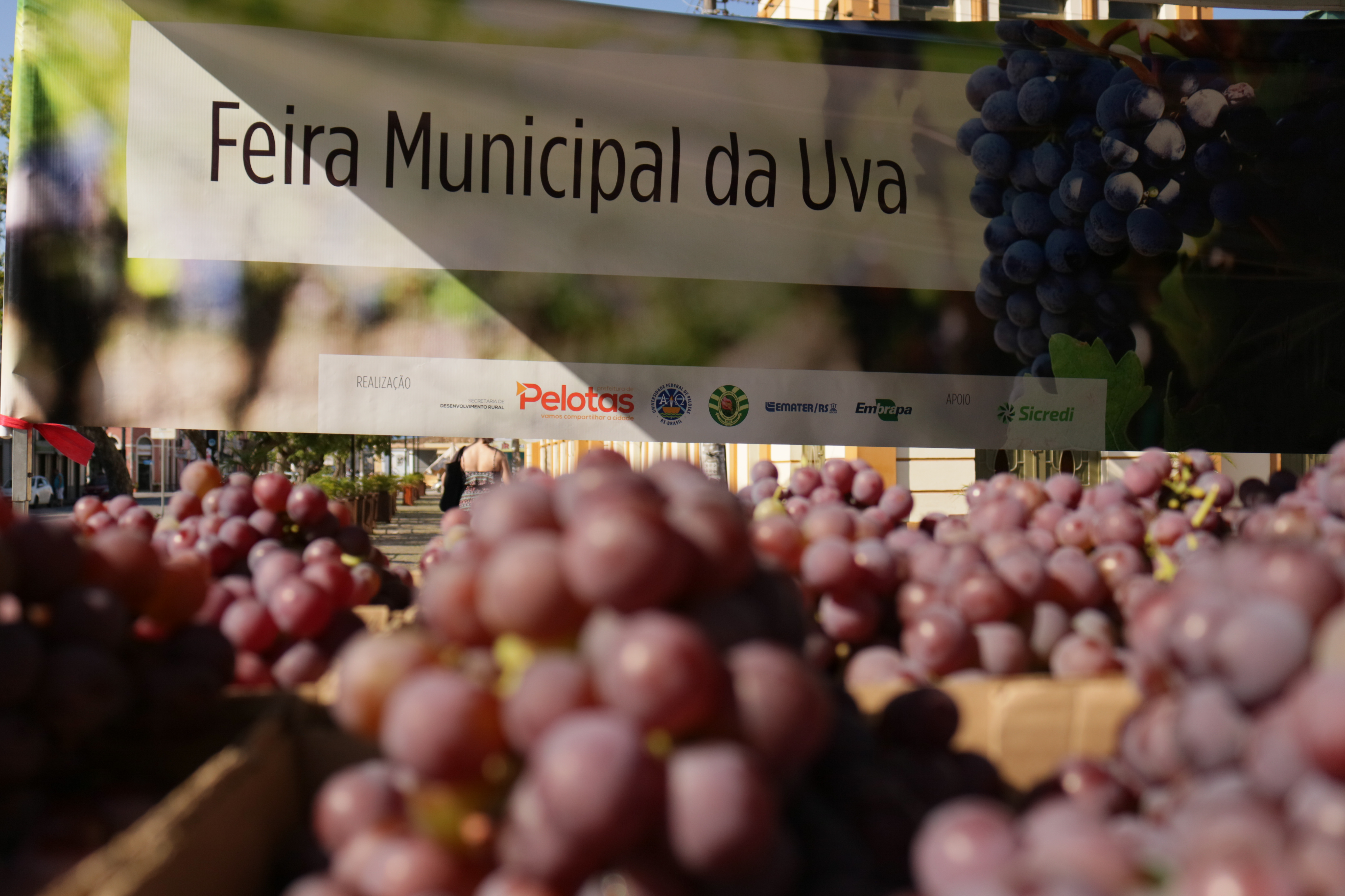 Comercialização direta do produtor ao consumidor estendeu-se por duas semanas