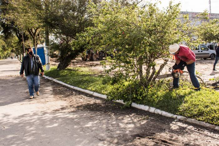 Projeto prevê plantio de 43 árvores e de 39 arbustos no trecho 3, entre as ruas Ismael Simões Lopes e Frontino Vieira