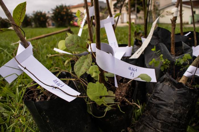 Também estão previstas atividades de educação ambiental com duas escolas, na quinta-feira, em alusão ao Dia Mundial do Meio Ambiente