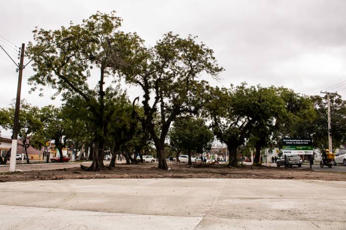 Projeto é ajustado para evitar colisão com as árvores e prevê supressões das que estão doentes ou mortas