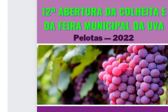 Nesta edição, 56 produtores participam das feiras que vão disponibilizar a fruta em pelo menos sete lugares do município. Calor excessivo foi favorável, deixando a uva mais saborosa