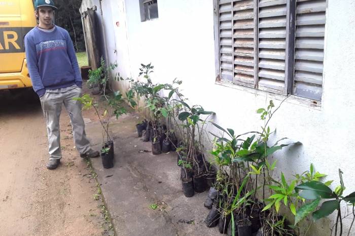 Divulgação sobre o descarte de embalagens de agrotóxicos e a distribuição de mudas aos moradores da colônia estão na programação