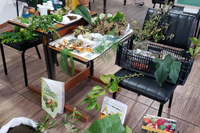 Parceria entre a Prefeitura e o Senar proporciona abordagem do tema para agricultoras do Cerrito Alegre