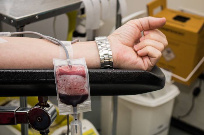 Hemopel convida população a doar sangue. No dia 14, haverá música ao vivo no local para celebrar o ato de generosidade
