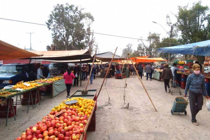 Comerciantes de pescado, artesanato e hortifrutigranjeiros devem procurar a Secretaria de Desenvolvimento Rural
