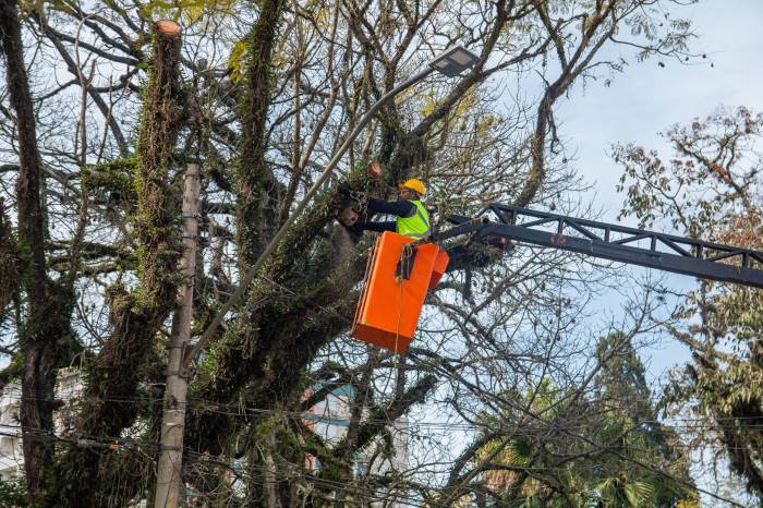 Ação no parque Dom Antônio Zattera e na praça Coronel Pedro Osório reduz riscos em locais de grande circulação