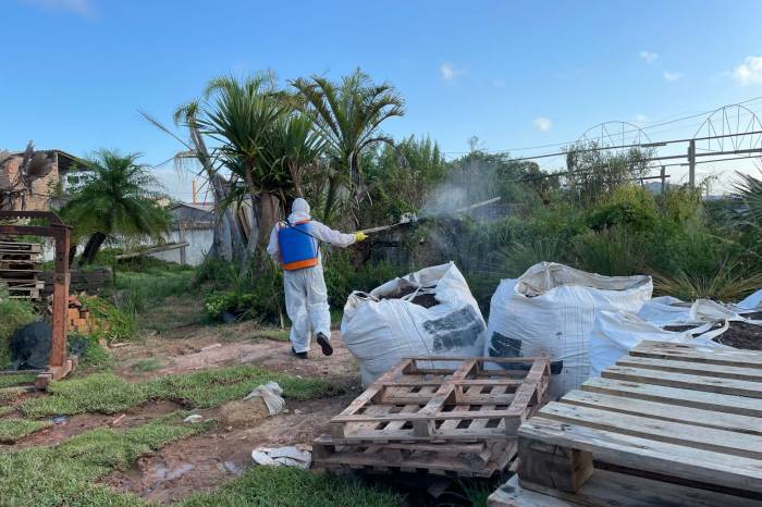 Pulverização do inseticida em superfícies é um dos métodos para controlar a população do mosquito Aedes