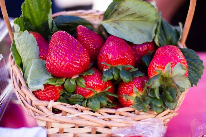 Soberanas terão a tarefa de divulgar a festa e a cultura da fruta no município