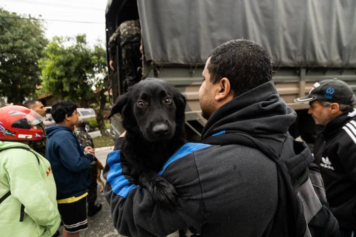 Pets são mantidos em espaços sob gestão pública. Cães errantes e animais de áreas alagadas estão abrigados temporariamente na Associação Rural de Pelotas