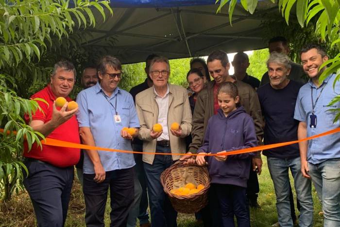 Vice-prefeito Idemar Barz participa da cerimônia que simboliza o início da safra 2024, em propriedade na Colônia Maciel