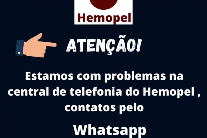 Número de Whatsapp foi disponibilizado para contato