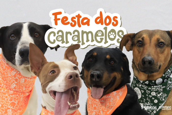 Evento tem o objetivo de incentivar a adoção responsável de cães do Canil Municipal