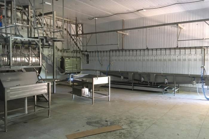 Empresa Knorst é a primeira do ramo no Município e tem capacidade de abater 12 mil aves por dia. Todo o projeto do novo empreendimento foi providenciado pela Prefeitura