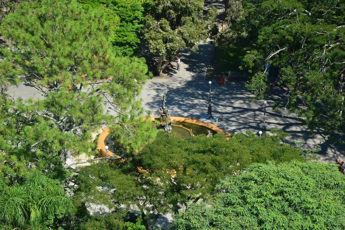 Diversas atividades ocorrerão até o dia 11 de junho, a fim de conscientizar a população sobre questões relativas à preservação do meio ambiente