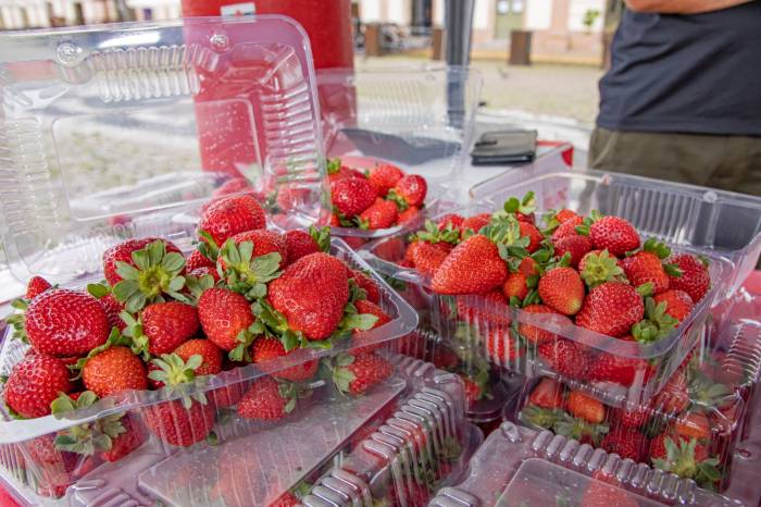 Aumento na produção e apoio dos consumidores garantiram mais dias de feira