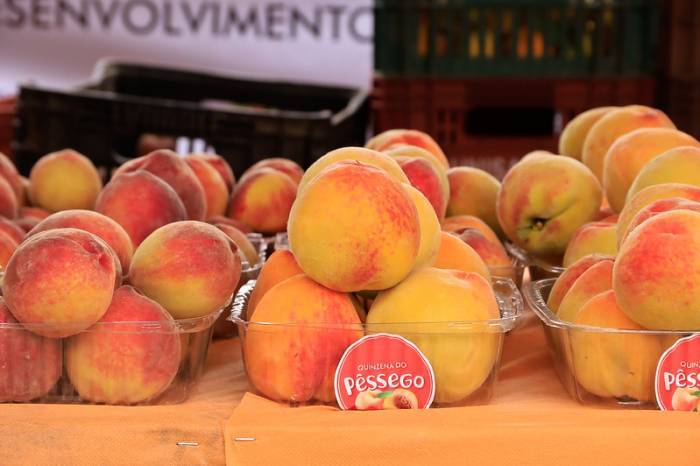 No período, haverá a Abertura Oficial da Colheita, Feira Municipal do Pêssego e a Festa na Vila Nova, 7º distrito