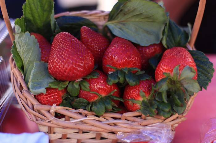 Bancas no Centro e em bairros, para venda da produção ao consumidor, é uma marca das políticas públicas da Prefeitura em apoio aos produtores