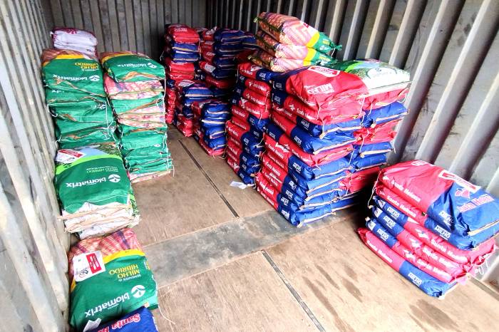 Pelotas conta com a produção média de 36 mil toneladas de milho, de acordo com levantamento agrícola do Instituto Brasileiro de Geografia e Estatística (IBGE)