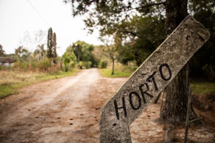 Ação que integra o programa Ciclo Verde Pelotas, prevê a disponibilização de até dez mudas por CPF
