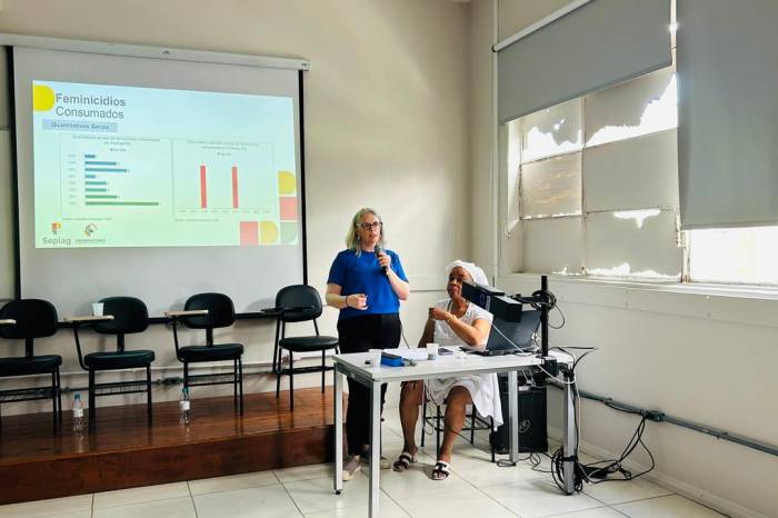 O Painel da Violência contra a Mulher tem o objetivo de fortalecer a rede de cuidado e proteção em Pelotas