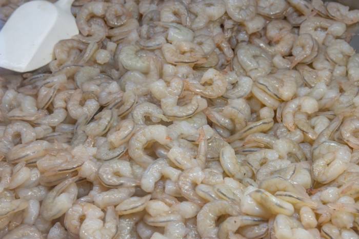 Em Pelotas, pescadores aguardam que a Lagoa dos Patos traga a maré baixa para que ocorra uma boa temporada