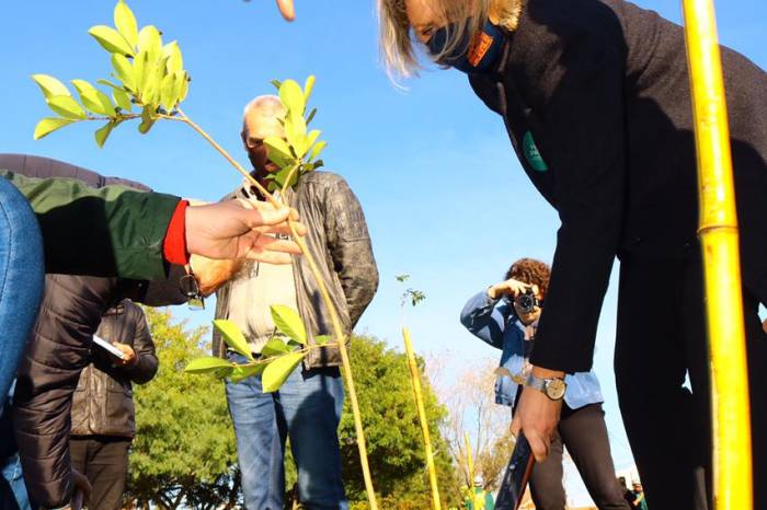 Prefeita Paula Mascarenhas participou das atividades que deram início ao programa ambiental do Município nesta quinta-feira (22)