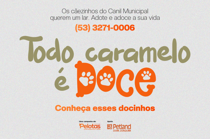 Com o objetivo de estimular o processo de adoção de cães do Canil Municipal, a campanha Todo Caramelo é Doce continua com resultados expressivos desde seu início.