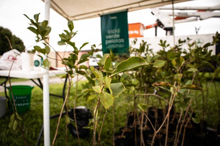 A região será a sexta a receber ações do programa da Prefeitura que atua na área ambiental