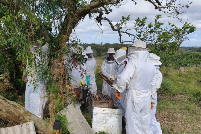 Encontro foi no Parque da Barragem, seguido de prática em apiário na zona rural