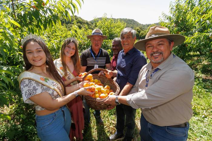 Expectativa é que a safra supere a média histórica de 36 a 37 mil toneladas