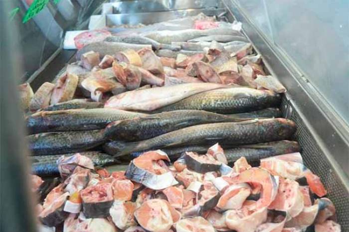 Até sexta-feira (10), interessados que já possuem cadastro e estão interessados em comercializar pescado, em bancas no Centro e bairros, devem atualizar pendências. Restam poucas vagas