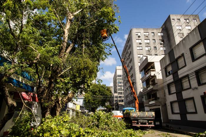 Atividade integra o programa Ciclo Verde e visa priorizar a segurança do local e garantir a qualidade do paisagismo
